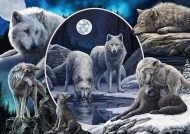 Puzzle Magnifiques loups