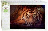 Puzzle Tigrul Sibirian