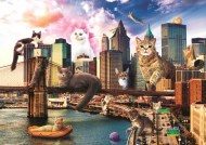 Puzzle Katter i New York