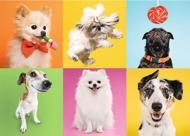 Puzzle Collage de perros image 2