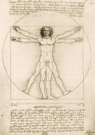 Puzzle Leonardo Da Vinci - Den vitruvianske mand, 1490