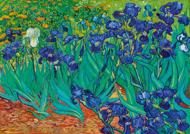 Puzzle Vincent Van Gogh - Íriszek, 1889