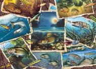 Puzzle 1000 фото рыб