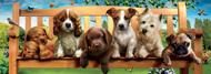 Puzzle Panorama de cachorros em um banco