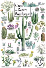 Puzzle Cactussen Van Het Woestijnzuidwesten