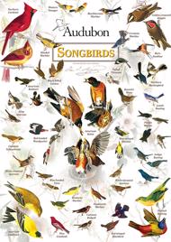 Puzzle Éneklő madarak