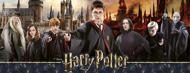 Puzzle Harry Potter - The Sorcerer's War panorama