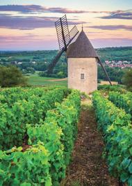 Puzzle Moulin Sorine – Vignoble de Santenay – Burgundia