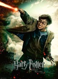 Puzzle Harry Potter: Deathly Hallows 100 XXL