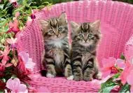 Puzzle Cute kittens 2000