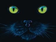 Puzzle Charles Lynn Bragg - Fekete macska