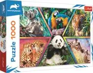 Puzzle Animal Planet Animal Kingdom 1000