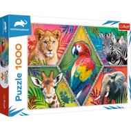 Puzzle Animal Planet: Exotic animals 