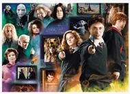 Puzzle Harijs Poters: Burvju pasaule