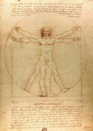 Puzzle Leoardo da Vinci: Vitruvianski čovjek 1000