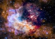 Puzzle Star Cluster in the Milky Way Galaxy