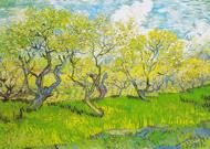 Puzzle Vincent Van Gogh: Gyümölcsöskert virágban