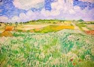 Puzzle Vincent Van Gogh: Câmpie lângă Auvers