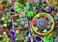 Puzzle macetas de cactus
