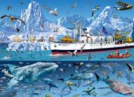 Puzzle François Ruyer: Ártico - Barco Bluebird