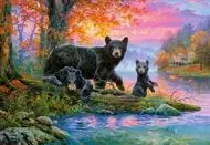 Puzzle Niedźwiedzie