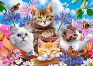 Puzzle Pisici cu flori