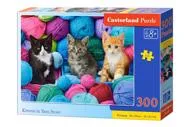 Puzzle Kittens in yarn store