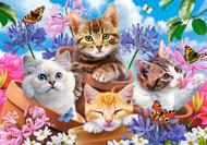 Puzzle Koťátka s květinami