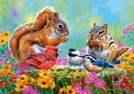 Puzzle Veveričky