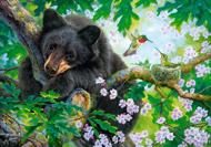 Puzzle Medvěd na stromě