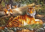 Puzzle Tygři