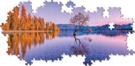 Puzzle Lake Wanaka Tree panorama image 2
