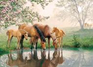 Puzzle Family Puzzle: Horse Family 350