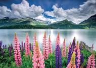 Puzzle Lupins On The Shores of Lake Sils, Switzerland
