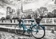 Puzzle Skadad låda Bike near Notre Dame II