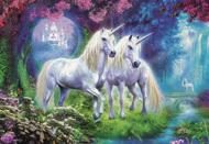 Puzzle Unicorns in the forest
