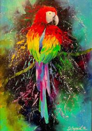 Puzzle Kolorowa papuga
