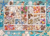 Puzzle Seashell Collection