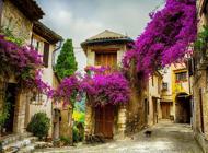 Puzzle Provence, Frankrig