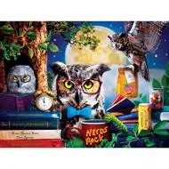 Puzzle Night Owl Study Group 300XXL