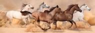 Puzzle Cavalos correndo na tempestade de areia