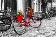 Puzzle La bicicleta roja
