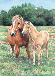 Puzzle Μητέρα και Foal