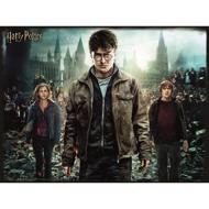 Puzzle 3D hatás - Harry Potter - Harry, Hermione és Ron