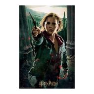 Puzzle Harry Potter: Hermiona Grangerová 3D