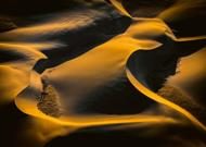 Puzzle Mark Gray: Nyúl, Sivatag