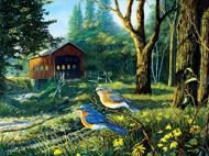 Puzzle Doughty - Pássaros azuis ocos sonolentos