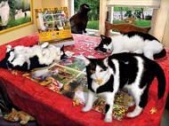 Puzzle Lori Schory - Wer hat die Katzen rausgelassen?