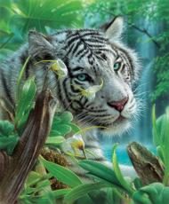 Puzzle Hvid tiger af Eden
