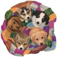Puzzle Litter of Puppies